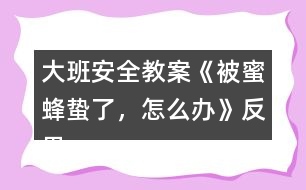 大班安全教案《被蜜蜂蟄了，怎么辦》反思