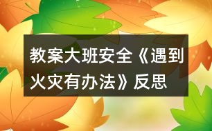 教案大班安全《遇到火災有辦法》反思