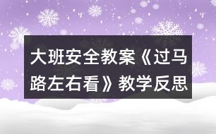 大班安全教案《過馬路左右看》教學反思