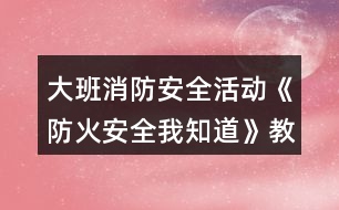 大班消防安全活動《防火安全我知道》教學(xué)設(shè)計(jì)反思