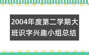 2004年度第二學(xué)期大班識字興趣小組總結(jié)