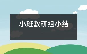 小班教研組小結