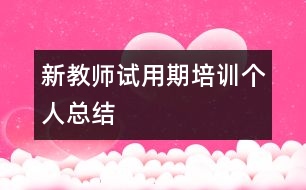 新教師試用期培訓個人總結