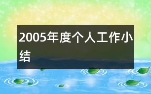 2005年度個人工作小結(jié)