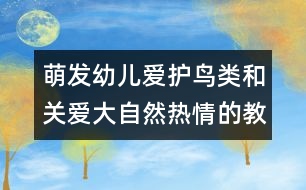 萌發(fā)幼兒愛護(hù)鳥類和關(guān)愛大自然熱情的教案