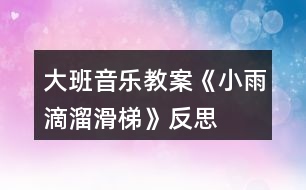 大班音樂教案《小雨滴溜滑梯》反思