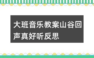 大班音樂教案山谷回聲真好聽反思