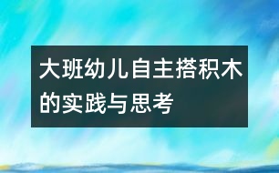 大班幼兒自主搭積木的實(shí)踐與思考