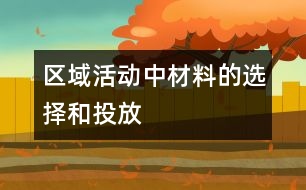 區(qū)域活動中材料的選擇和投放