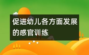 促進幼兒各方面發(fā)展的感官訓練