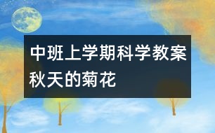 中班上學(xué)期科學(xué)教案：秋天的菊花