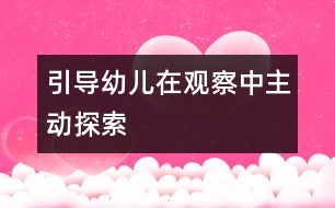 引導(dǎo)幼兒在觀察中主動探索