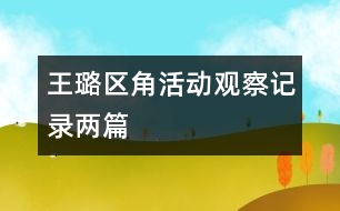 王璐區(qū)角活動觀察記錄兩篇