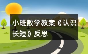 小班數(shù)學(xué)教案《認識長短》反思