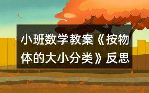 小班數學教案《按物體的大小分類》反思