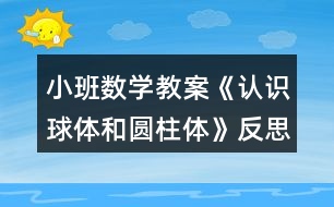 小班數(shù)學教案《認識球體和圓柱體》反思