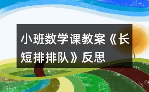 小班數(shù)學(xué)課教案《長短排排隊》反思