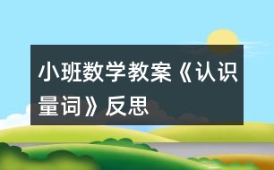 小班數(shù)學教案《認識量詞》反思