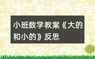 小班數(shù)學(xué)教案《大的和小的》反思