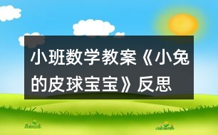 小班數(shù)學教案《小兔的皮球寶寶》反思