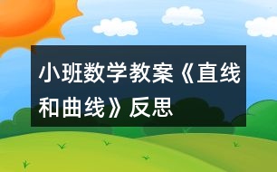 小班數(shù)學(xué)教案《直線和曲線》反思