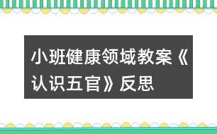 小班健康領(lǐng)域教案《認(rèn)識(shí)五官》反思