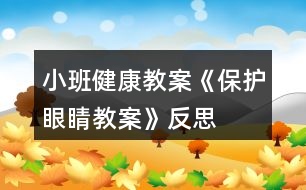 小班健康教案《保護(hù)眼睛教案》反思