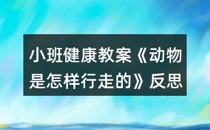 小班健康教案《動物是怎樣行走的》反思