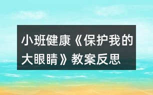 小班健康《保護我的大眼睛》教案反思