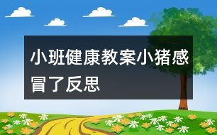 小班健康教案小豬感冒了反思