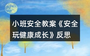 小班安全教案《安全玩健康成長》反思