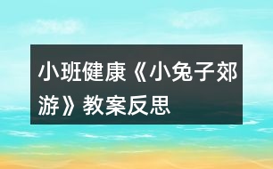 小班健康《小兔子郊游》教案反思