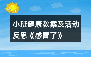 小班健康教案及活動反思《感冒了》