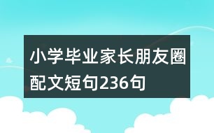 小學(xué)畢業(yè)家長(zhǎng)朋友圈配文短句236句