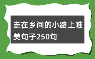 走在鄉(xiāng)間的小路上唯美句子250句