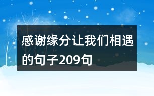 感謝緣分讓我們相遇的句子209句