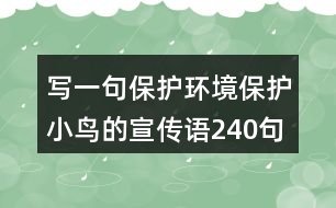 寫一句保護(hù)環(huán)境保護(hù)小鳥的宣傳語(yǔ)240句