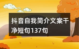 抖音自我簡介文案干凈短句137句