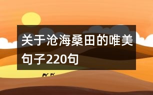 關于滄海桑田的唯美句子220句