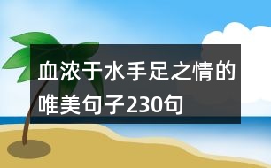 血濃于水手足之情的唯美句子230句