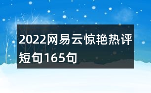 2022網(wǎng)易云驚艷熱評(píng)短句165句