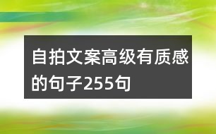 自拍文案高級有質(zhì)感的句子255句