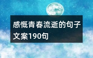 感慨青春流逝的句子文案190句