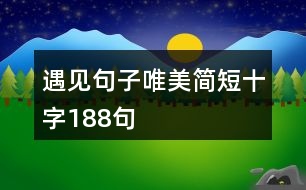 遇見句子唯美簡短十字188句