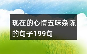 現(xiàn)在的心情五味雜陳的句子199句