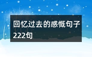 回憶過去的感慨句子222句