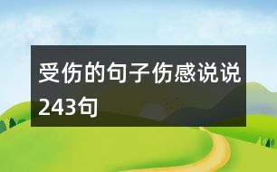 受傷的句子傷感說說243句