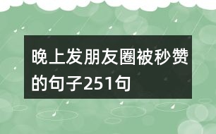 晚上發(fā)朋友圈被秒贊的句子251句