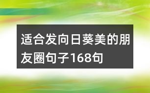 適合發(fā)向日葵美的朋友圈句子168句