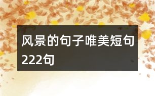 風(fēng)景的句子唯美短句222句